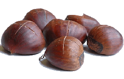 Hot roast chestnuts